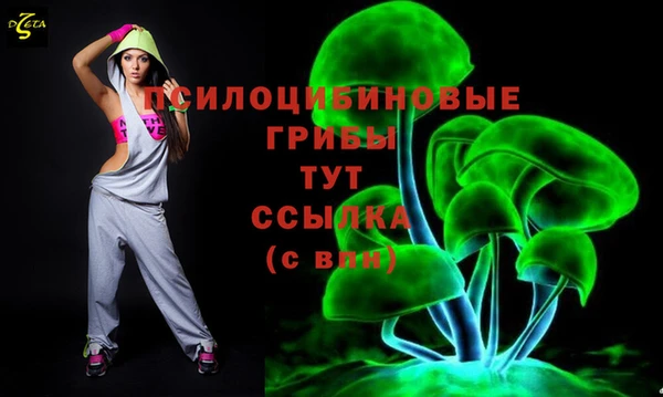 марки lsd Белокуриха