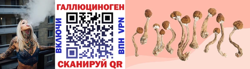 Галлюциногенные грибы мицелий где продают Прокопьевск